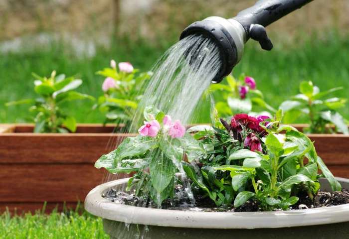 Cum sa faci un compost bun pentru gradina ta (VIDEO)