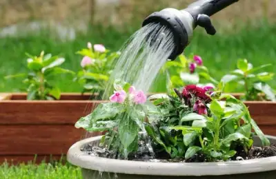 How to Make Good Compost for Your Garden (VIDEO)