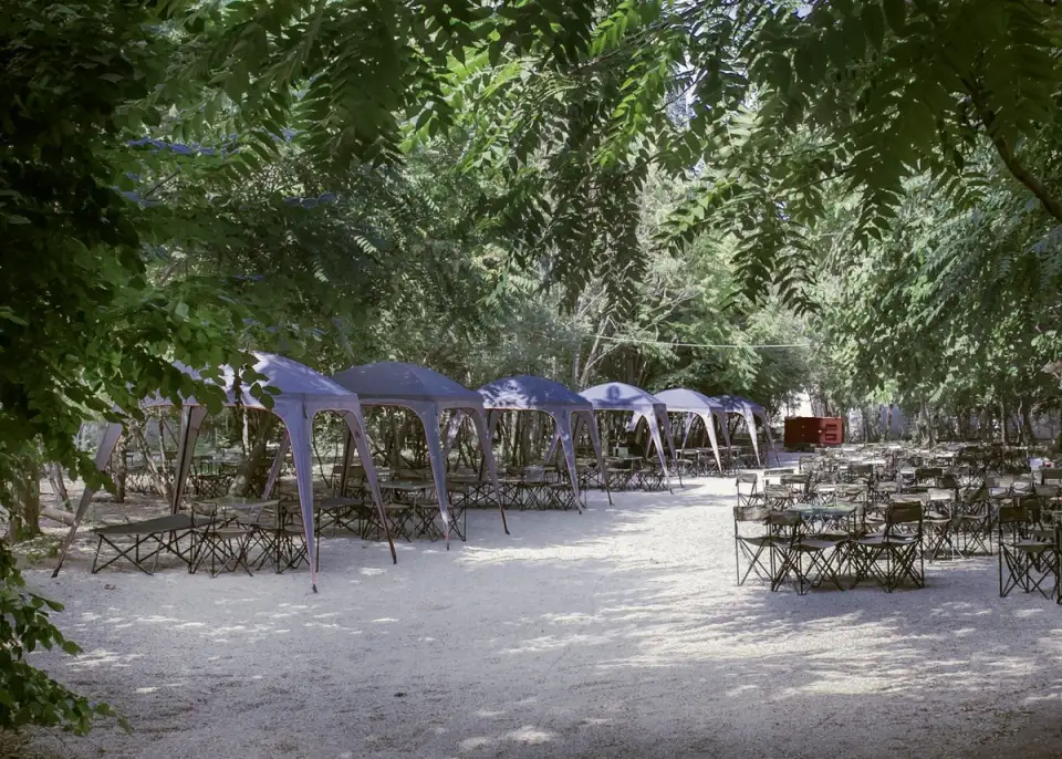 A2 Urban Atmosphere in a Typical Bucharest Garden