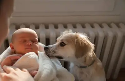 Tips for Living with a Baby and a Pet