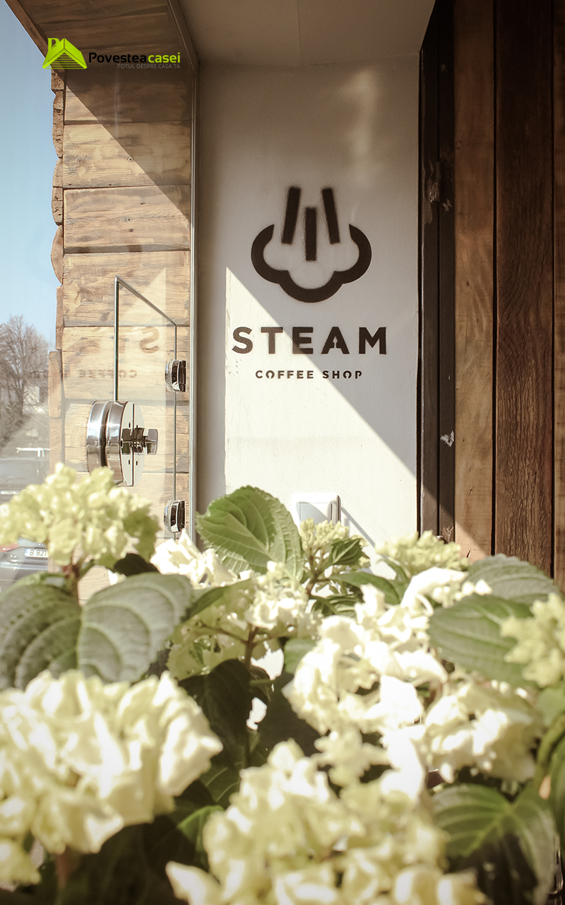 Steam Coffee Shop: A Fantastic Place to Explore Coffee
