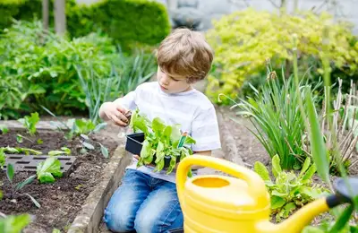 gaging Children in Agriculture: A Practical Life Lesson