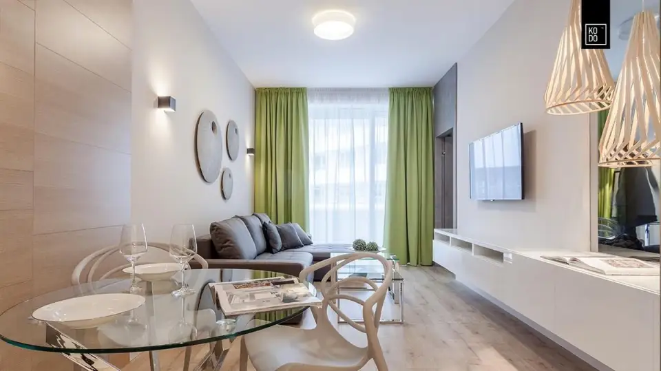 Contemporary Design in a 43 sq m Apartment