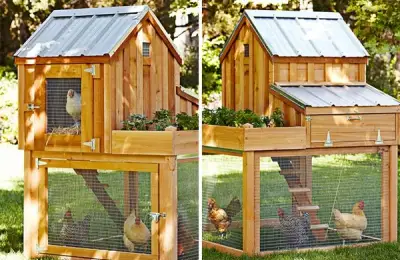 A Unique Design for Your Chicken Coop