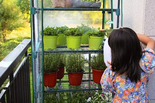 Construiește-ți propria seră pe balcon! Un ghid pas cu pas