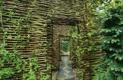 Willow Garden - Natural Solutions for Yard Fencing