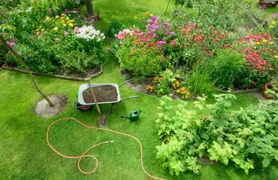The Most Common Mistakes You Can Make When Landscaping Your Home