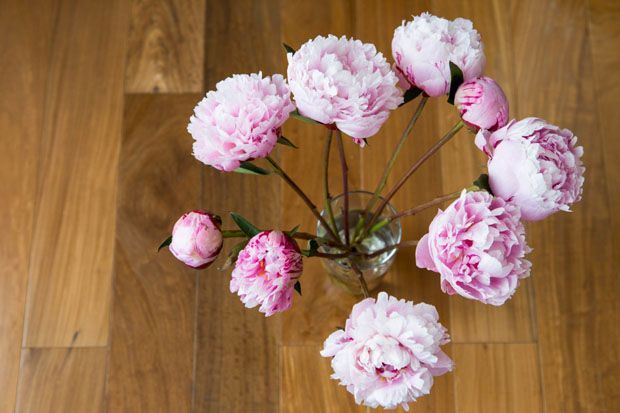8 Tips for Vase Flower Care