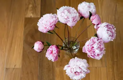 8 Tips for Vase Flower Care