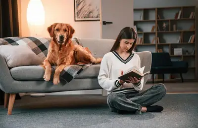 9 Pets Suitable for Any Family, with Their Advantages and Disadvantages