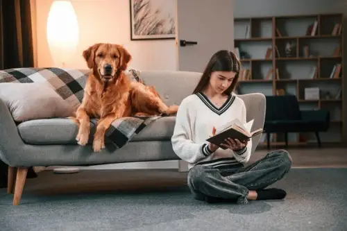 9 animăluțe potrivite pentru orice familie, cu avantajele și dezavantajele lor