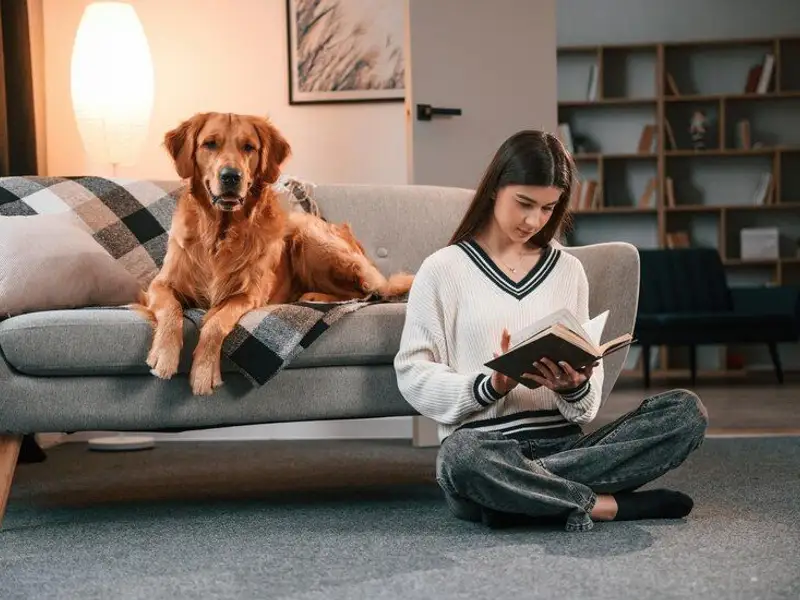9 animăluțe potrivite pentru orice familie, cu avantajele și dezavantajele lor