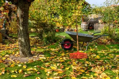 Cum să amenajezi o grădină modernă și elegantă toamna