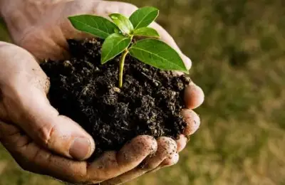 Do Your Duty, Plant a Tree