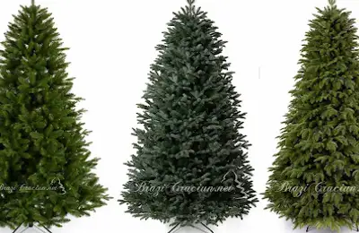 De ce brazii artificiali full 3D au devenit alegerea preferată în locuințele amenajate modern