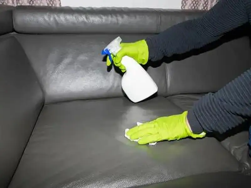 Curățarea canapelelor din piele: soluții eficiente și sfaturi utile