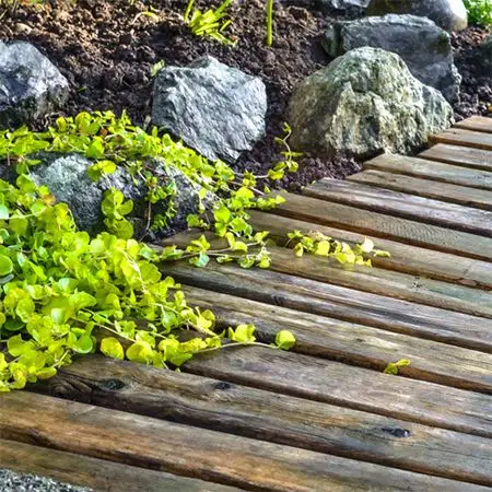 Reclaimed Wood Paving