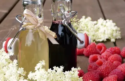 Refreshing Drinks from Seasonal Flowers: Rosehip with Honey and Lemon, Poppy Petal Syrup and Socata