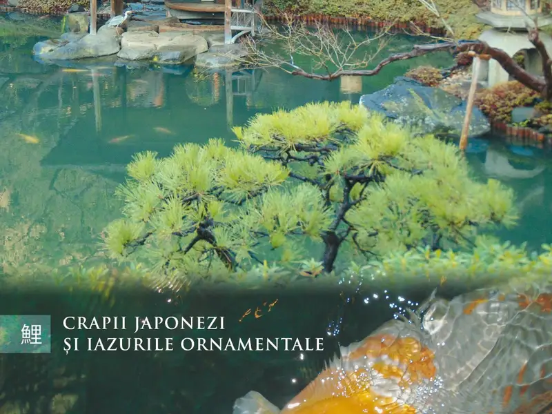 Crapii Japonezi și iazurile ornamentale