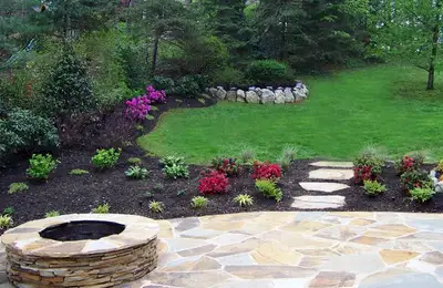 Caring for Plants and Trees in Our Garden