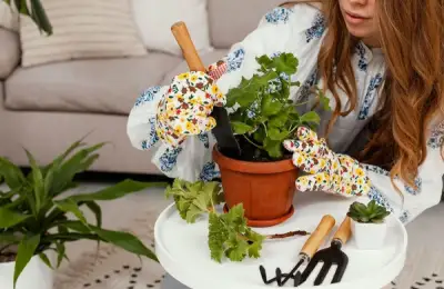 Indoor Plant Care Guide: Tips for Optimal Care Based on Light and Humidity