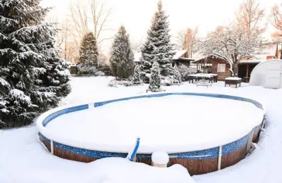 Caring for Spruce Trees in Your Yard During the Cold Season
