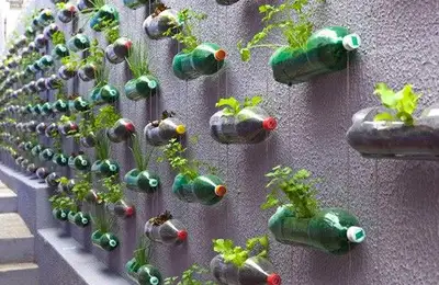 How to Build a Vertical Garden from Plastic Bottles