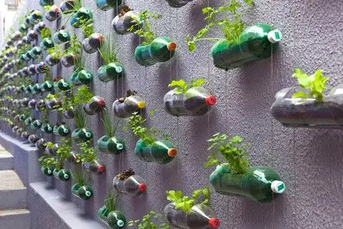 Cum sa construiti o gradina verticala din sticle de plastic