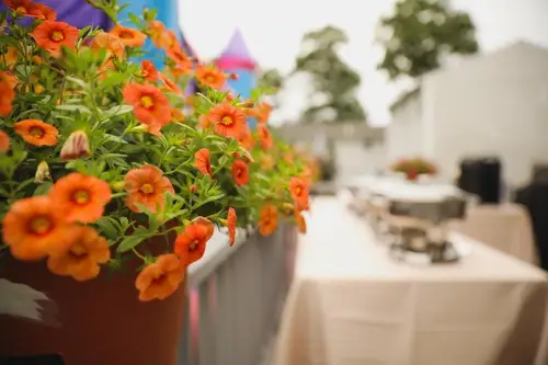 Cum să dai farmec terasei tale primăvara cu ajutorul ghivecelor cu flori
