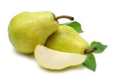 Planting and Caring for an Apple Tree