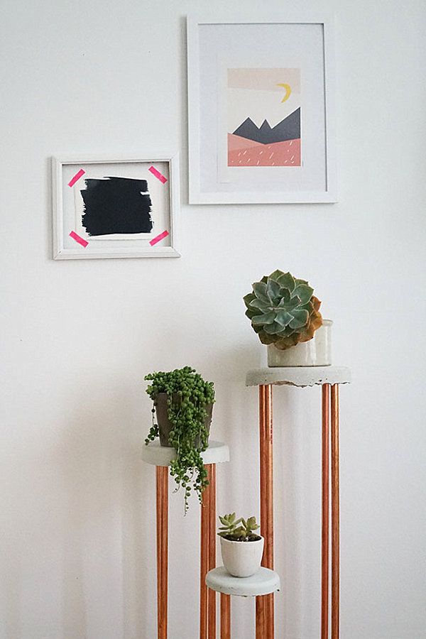 Plant Supports to Brighten Your Space