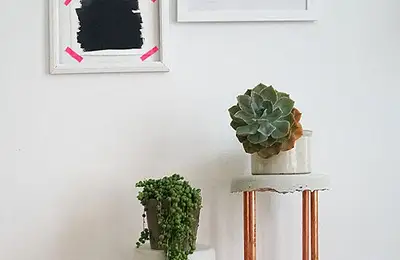 Plant Supports to Brighten Your Space