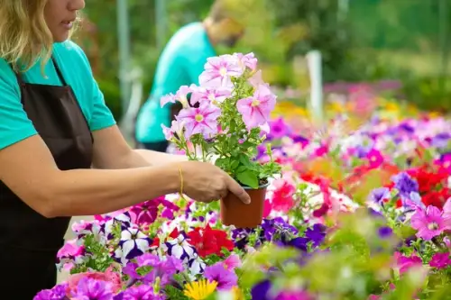 Paturi de flori ridicate sau jardiniere colorate pentru un aspect unic