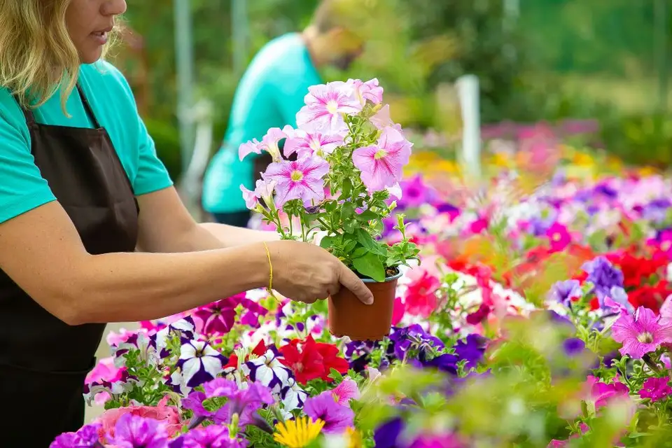 Paturi de flori ridicate sau jardiniere colorate pentru un aspect unic