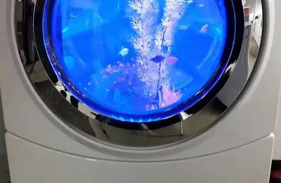 Innovative Design: Washing Machine Transformed into Aquarium