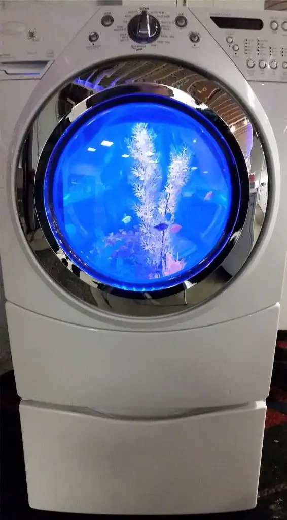 Innovative Design: Washing Machine Transformed into Aquarium
