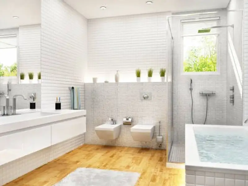 Motive pentru instalarea unui bideu in baie si locul său ideal în designul băii moderne