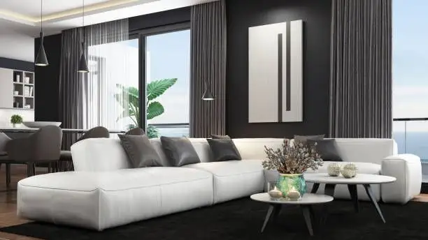 Living room în alb și negru: idei și soluții inedite pentru amenajarea sa