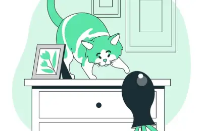The Importance of Routine and Playtime for Cats