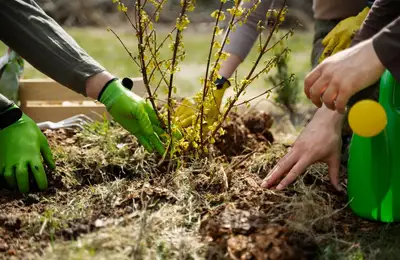 Companion Planting: Grow Flowers and Herbs Alongside Vegetables for Pest Protection