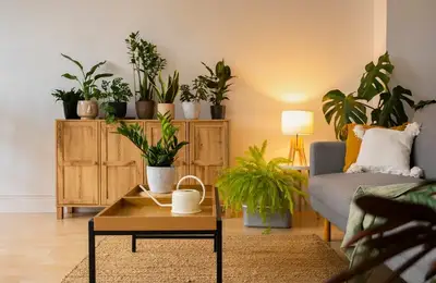 Innovative Design Ideas for Bringing Nature Indoors
