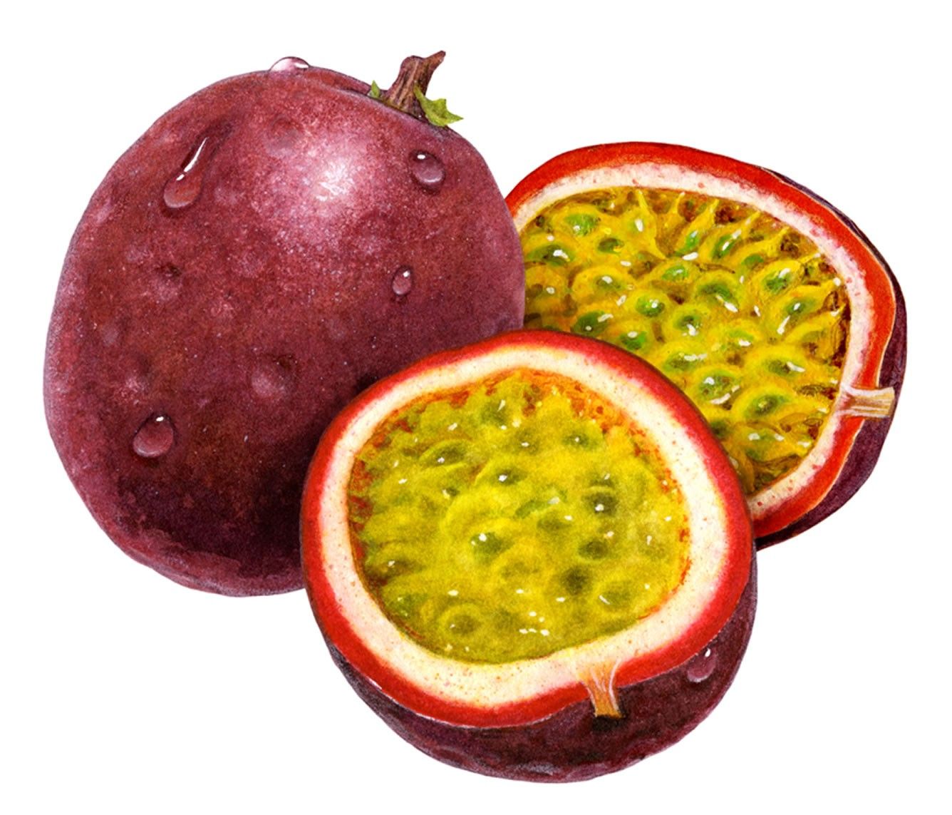 How to Plant Passion Fruit (VIDEO)