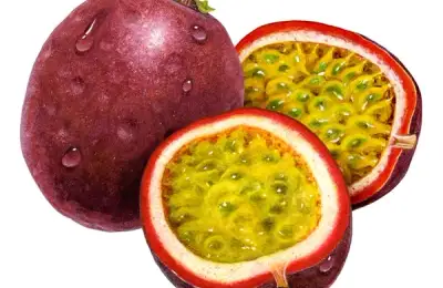 How to Plant Passion Fruit (VIDEO)
