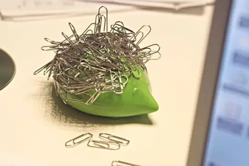 Accesorii inedite si originale in forme de diferite animale