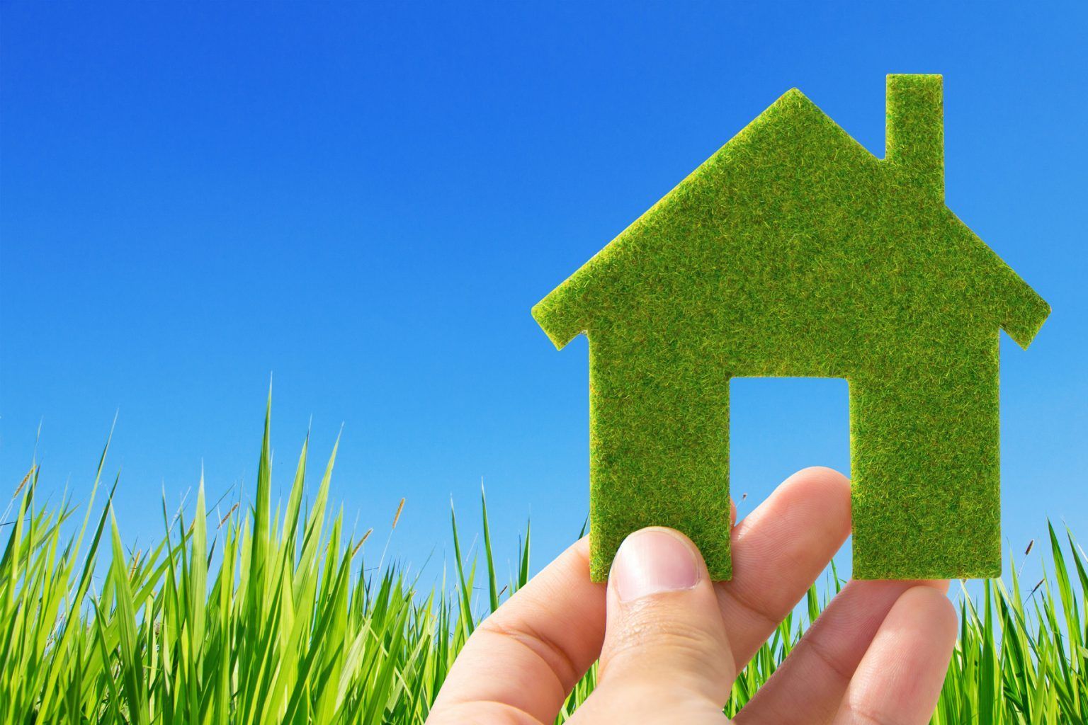 5 Simple Rules for Living More Ecologically