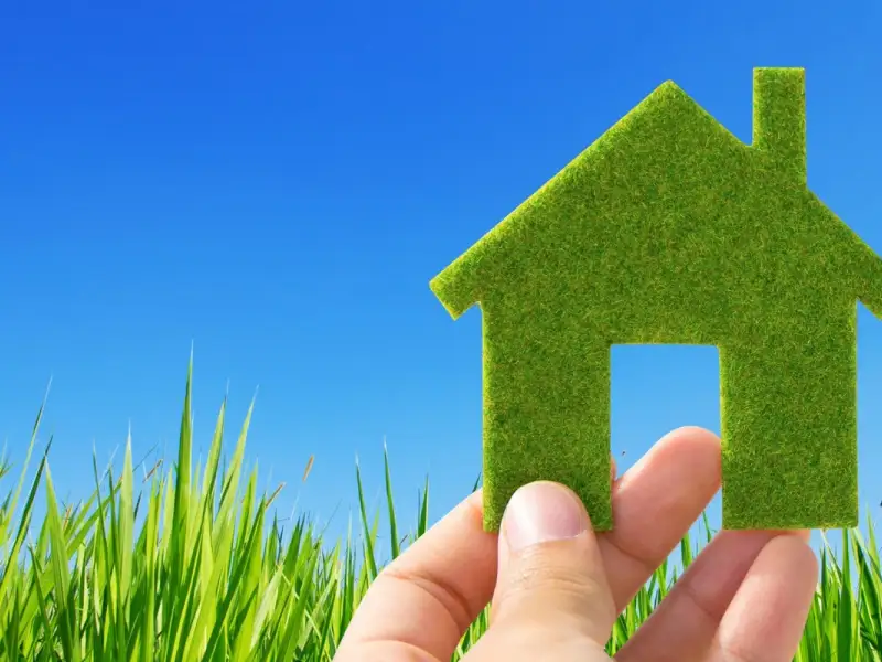 5 reguli simple pentru a trai mai ecologic