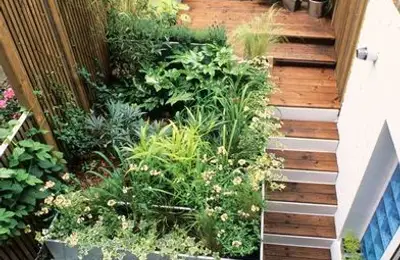 How to Design an Urban Garden - 5 Interesting Models