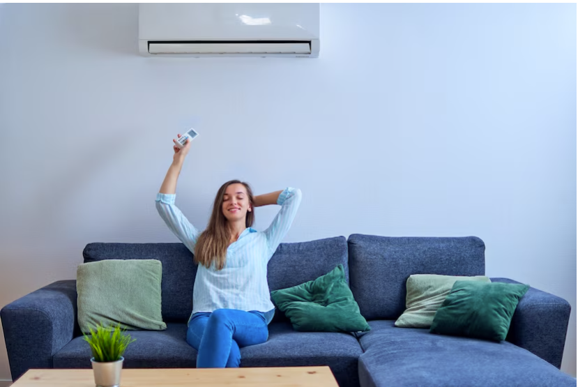 Choosing Efficient Climate Solutions for a Two-Bedroom Apartment