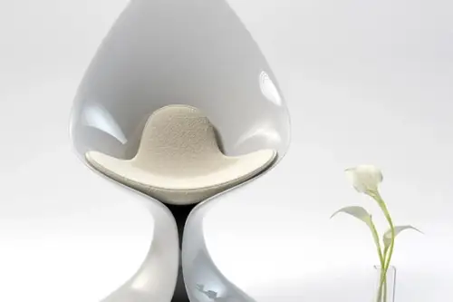 Design de obiect: scaunul in forma de cala