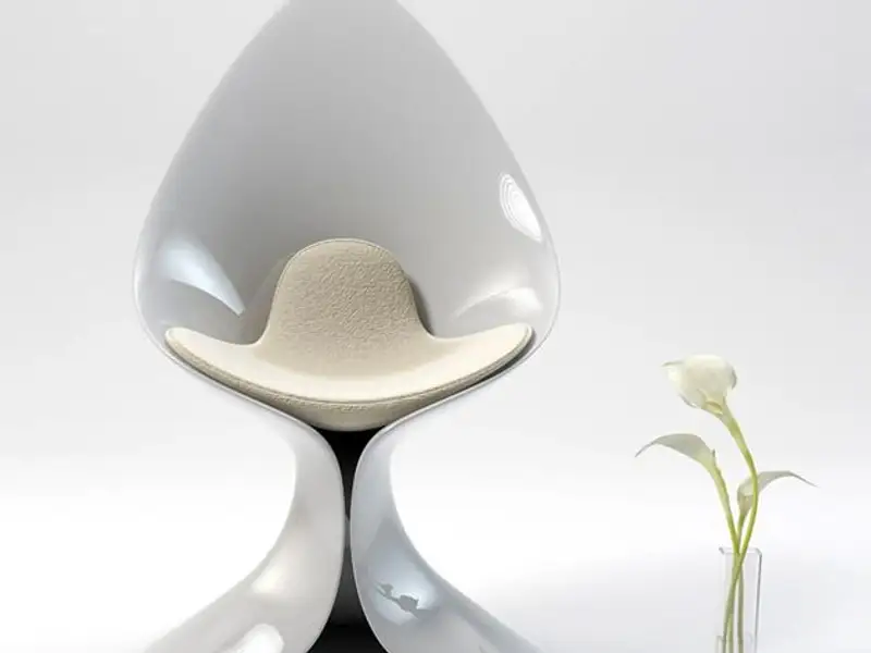 Design de obiect: scaunul in forma de cala
